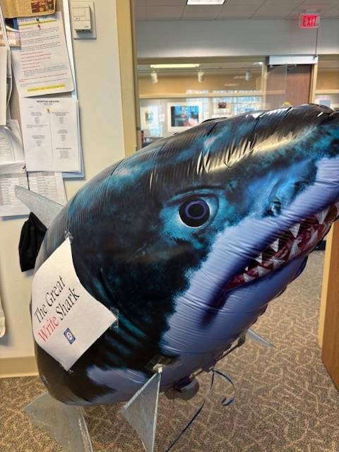 a helium extra large shark balloon with a sign taped to its side saying The Great Write Shark